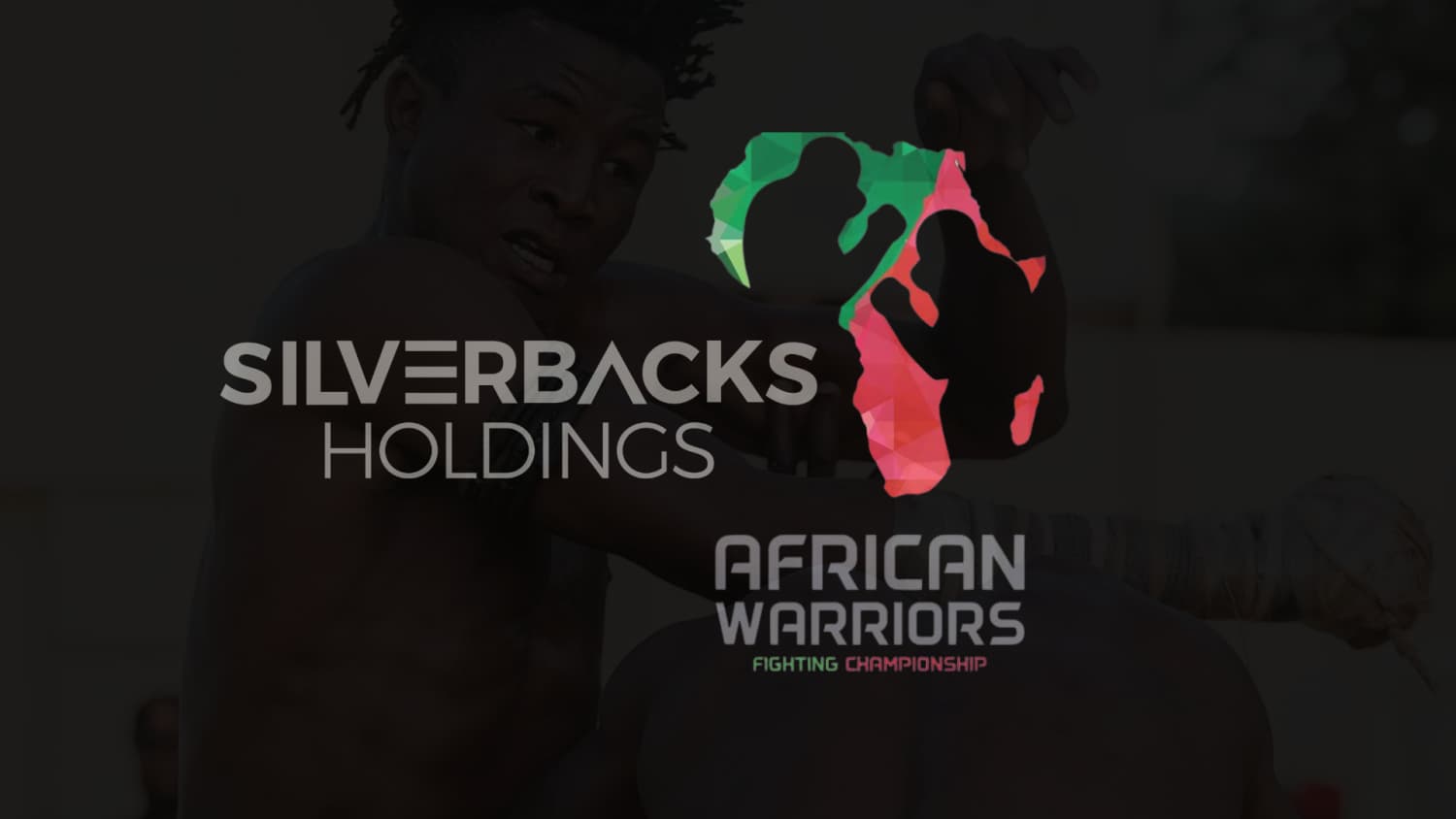 silverbacks-holdings-invests-in-nigerias-largest-dambe-boxing-promoter-awfc